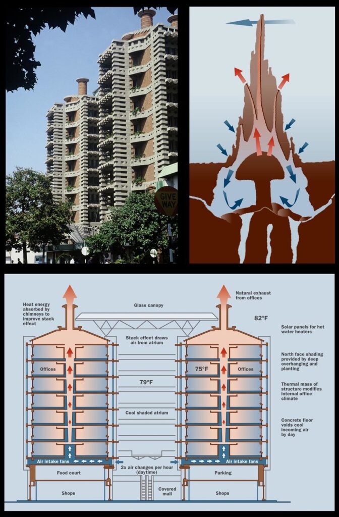 Illustrations comparing the temperature airflow of a termite’s mound and a building.