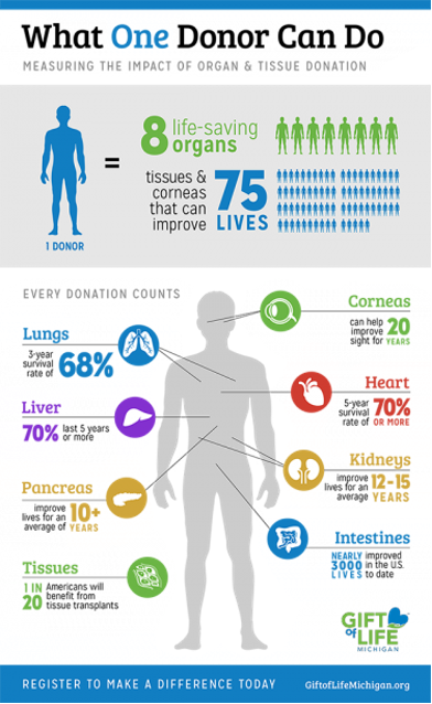 Infographic: What One Donor Can Do