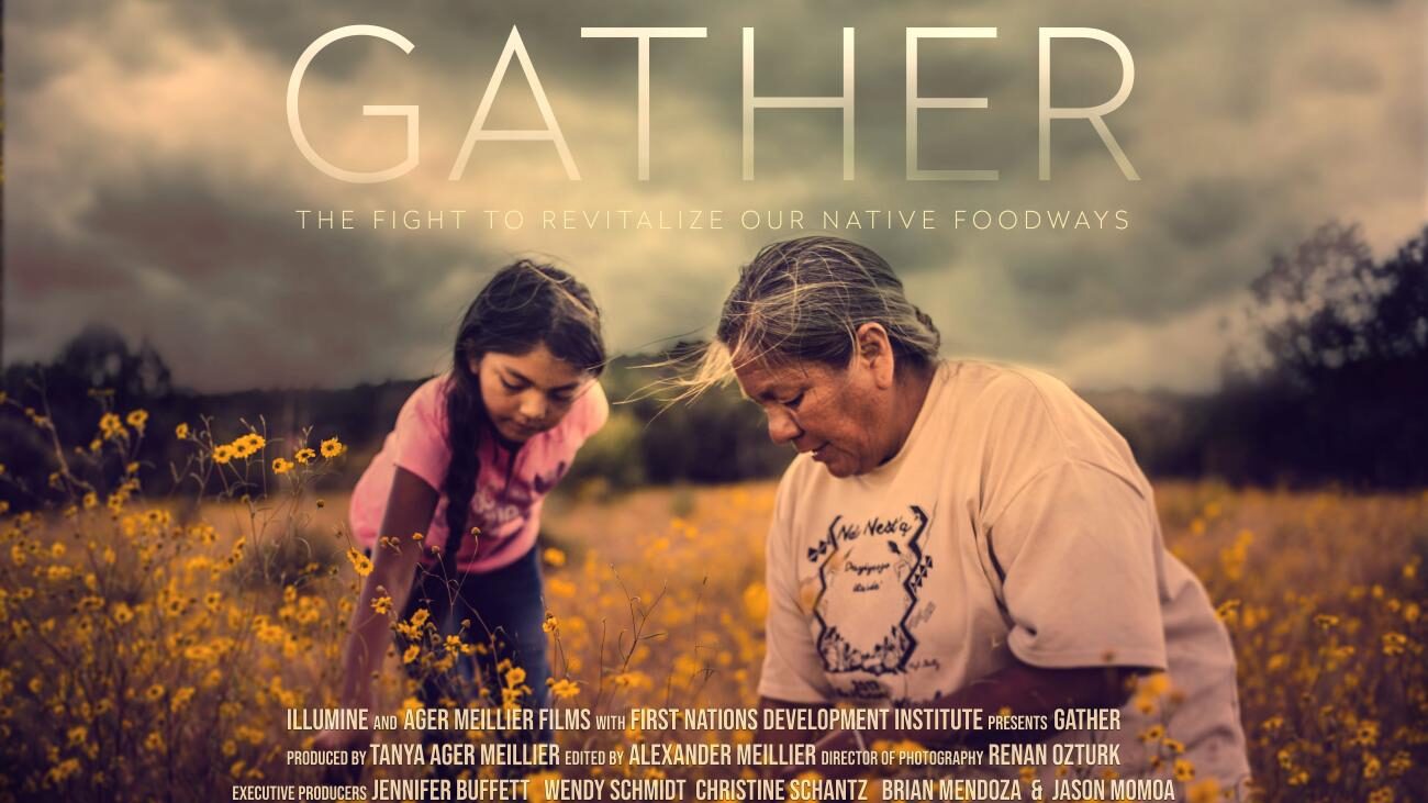Title card for Gather: The fight to revitalize our native foodways," showing an older native woman and young girl gathering plants in a field.
