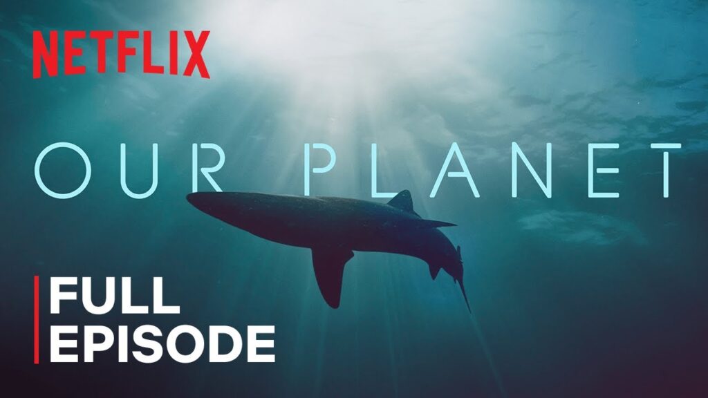 Title card for Our Planet on Netflix, showing a shark underwater.