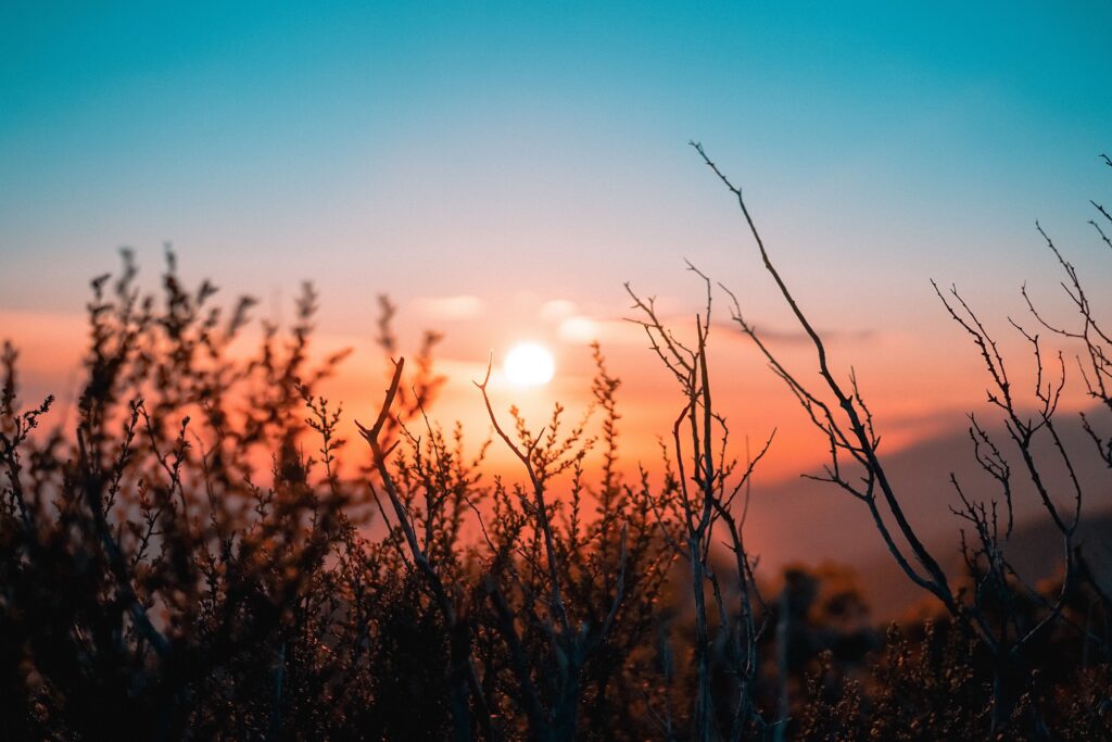 photo of sunrise in the desert