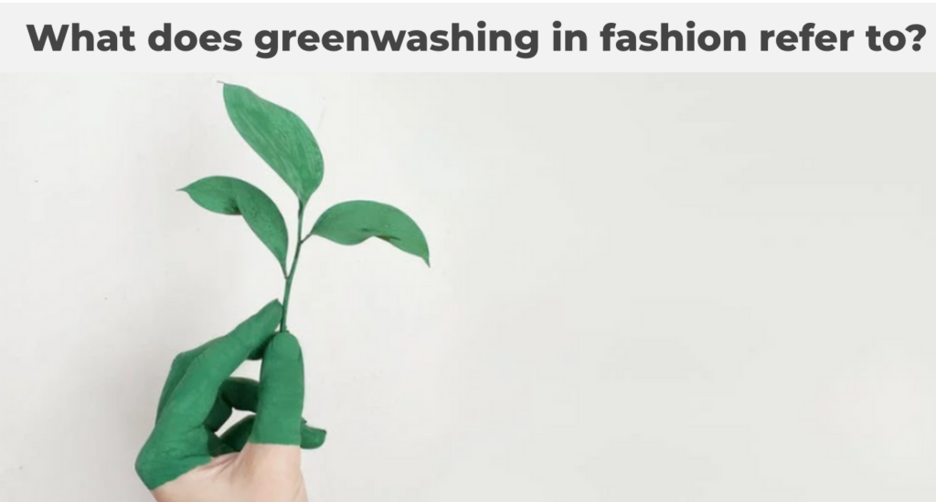 sustainable fashion quiz